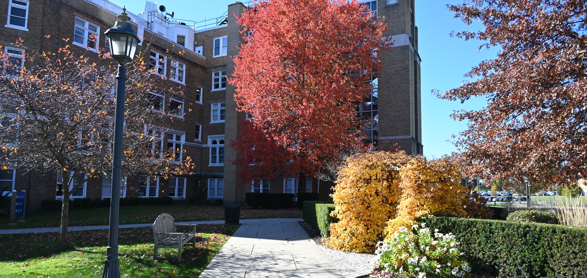 campus in the fall