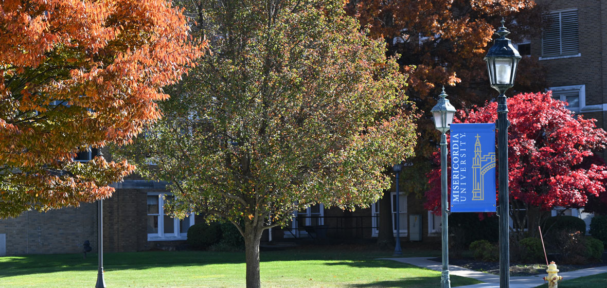 campus in the fall, colorful trees, laps and banners on lamps