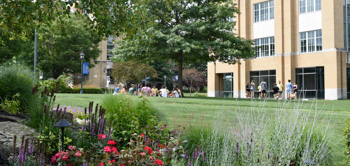 campus in the spring/summer, students sitting on the lawn flowers in the foreground